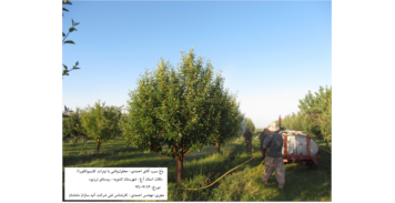 باغ سیب، اشنویه